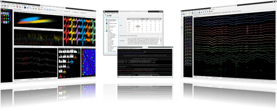 NeuroScope, Klusters and NDManager side by side
